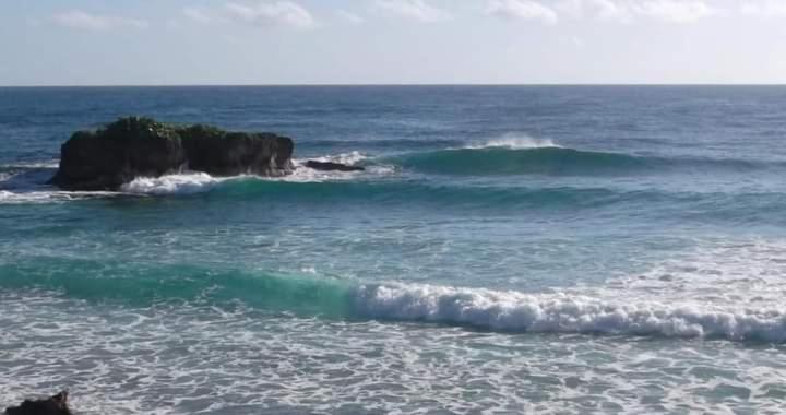 La Familia Guest House And Natural Farm Port Antonio Buitenkant foto