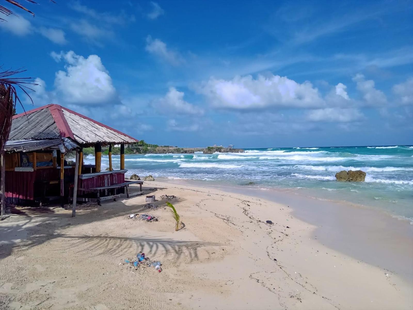 La Familia Guest House And Natural Farm Port Antonio Buitenkant foto