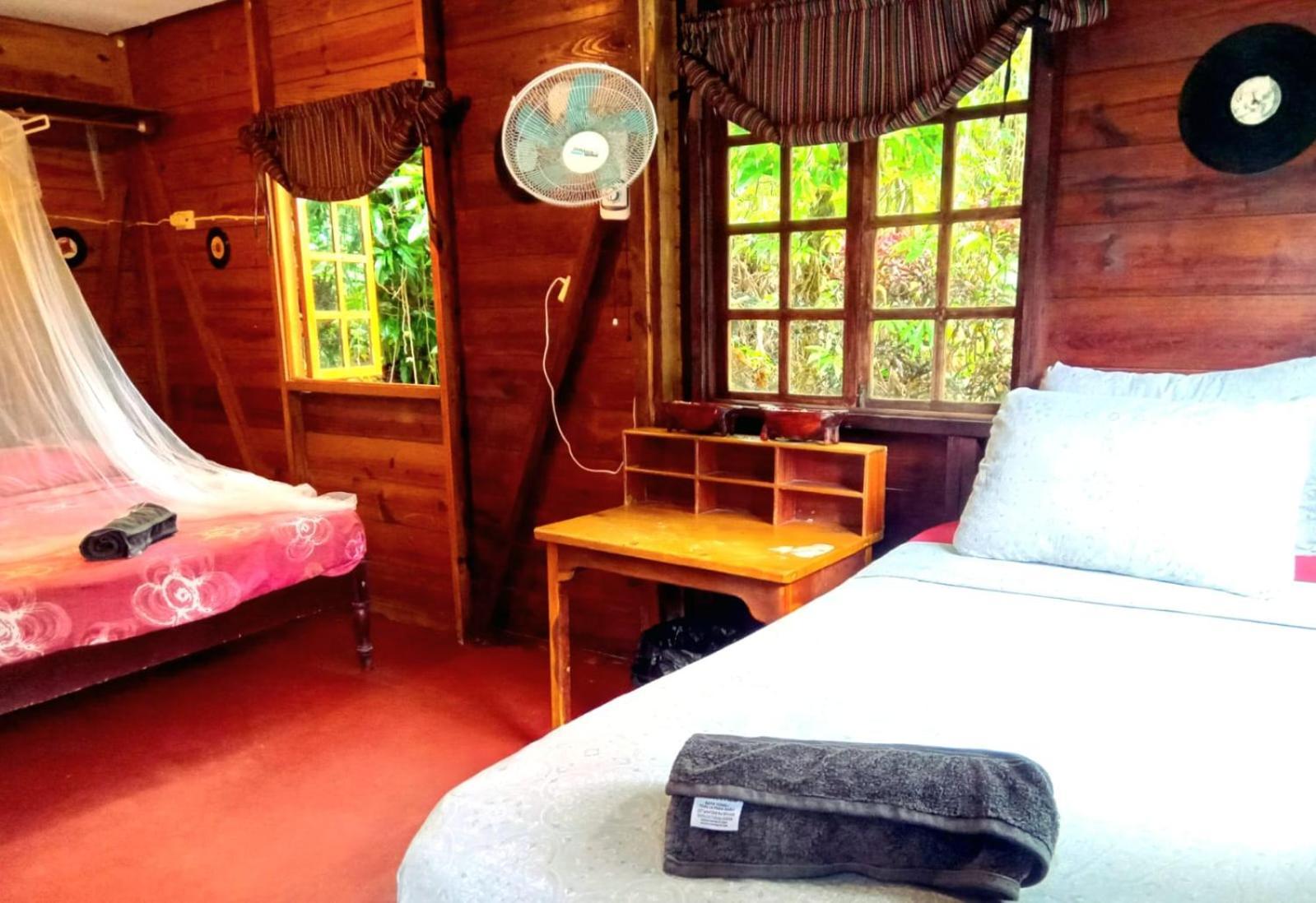 La Familia Guest House And Natural Farm Port Antonio Buitenkant foto