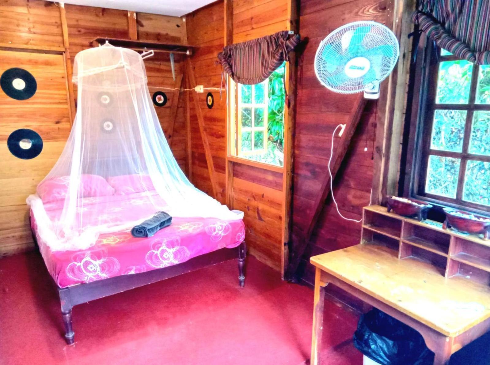 La Familia Guest House And Natural Farm Port Antonio Buitenkant foto