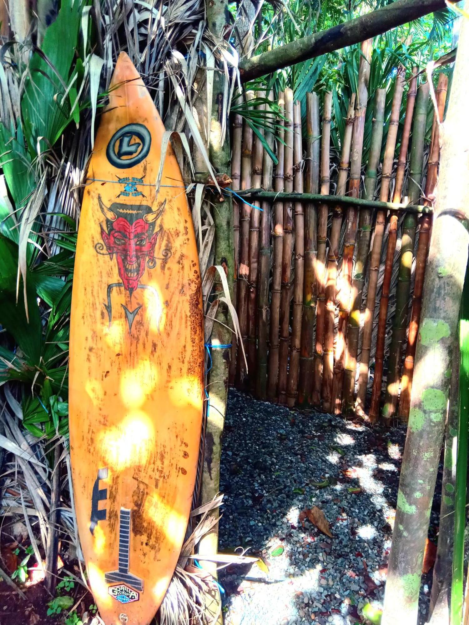 La Familia Guest House And Natural Farm Port Antonio Buitenkant foto