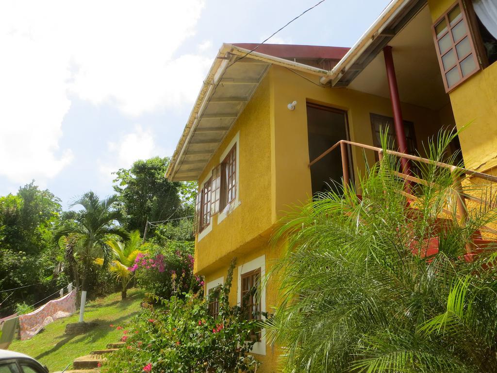 La Familia Guest House And Natural Farm Port Antonio Buitenkant foto