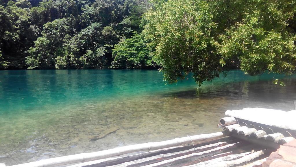 La Familia Guest House And Natural Farm Port Antonio Buitenkant foto