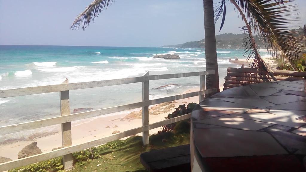 La Familia Guest House And Natural Farm Port Antonio Buitenkant foto