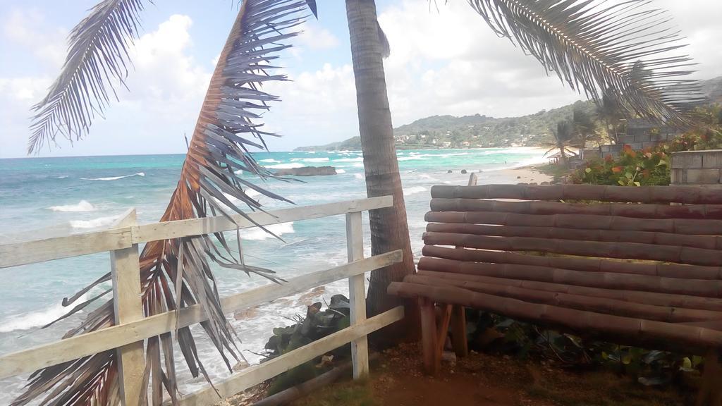 La Familia Guest House And Natural Farm Port Antonio Buitenkant foto