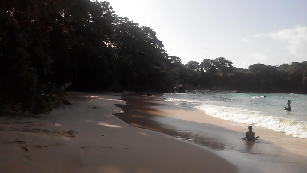 La Familia Guest House And Natural Farm Port Antonio Buitenkant foto