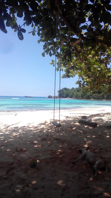 La Familia Guest House And Natural Farm Port Antonio Buitenkant foto