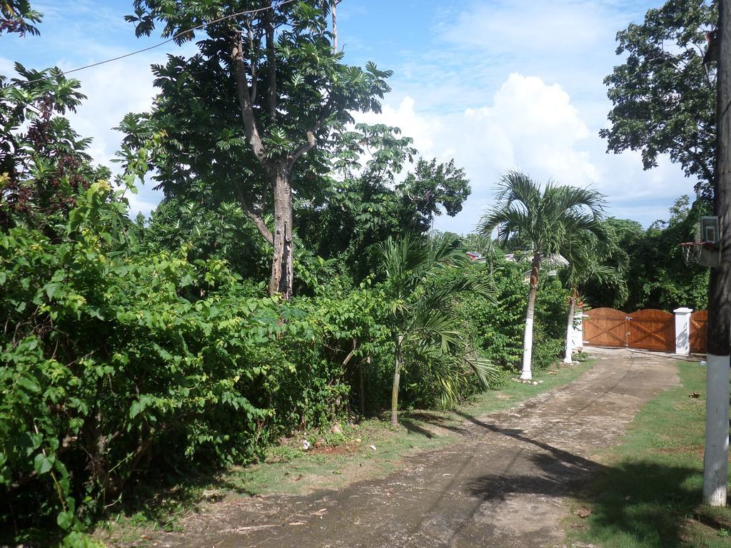 La Familia Guest House And Natural Farm Port Antonio Buitenkant foto