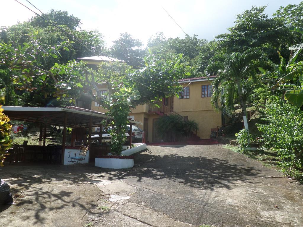 La Familia Guest House And Natural Farm Port Antonio Buitenkant foto