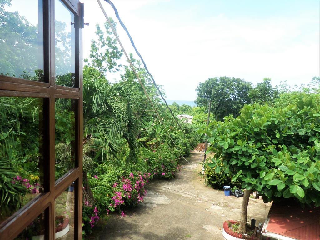 La Familia Guest House And Natural Farm Port Antonio Buitenkant foto