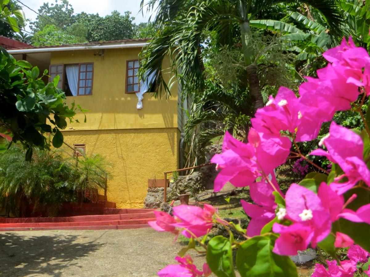 La Familia Guest House And Natural Farm Port Antonio Buitenkant foto